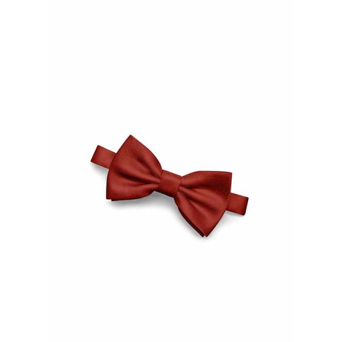 Gentlemen's Collection Boy's Matte Satin pre-tied bow tie