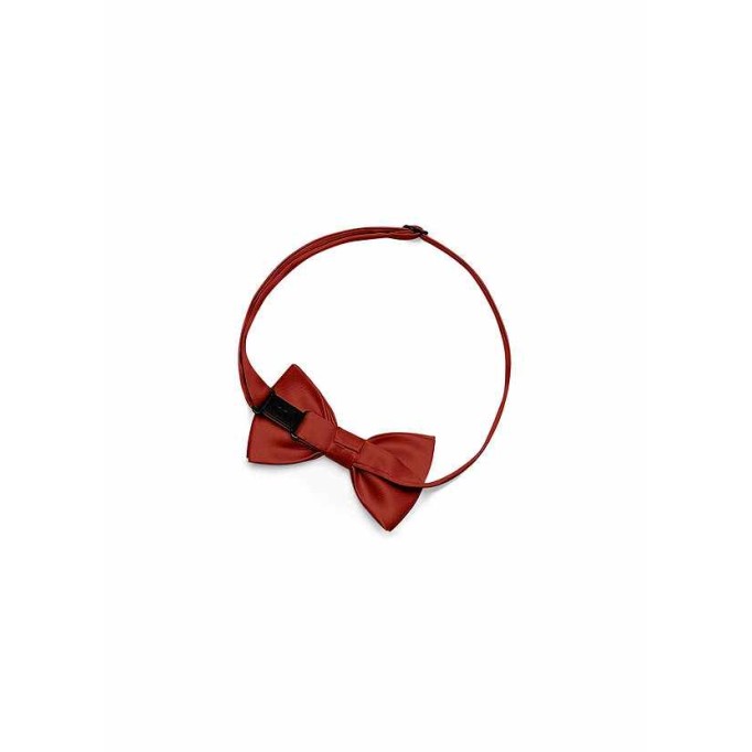 Gentlemen's Collection Boy's Matte Satin pre-tied bow tie