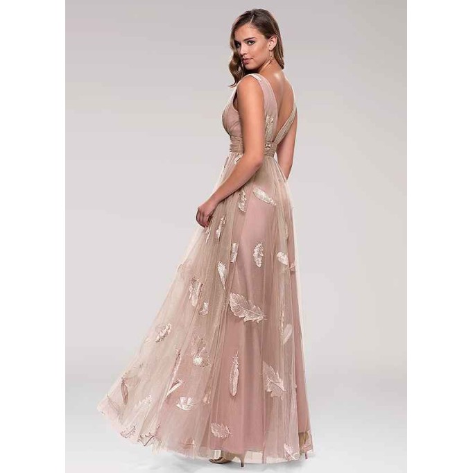 Blush Mark Lost In Paradise Blush Embroidery Tulle Maxi Dress